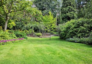 Optimiser l'expérience du jardin à La Framboisiere