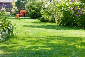 travaux jardin et paysage La Framboisiere